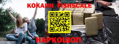 гидра Заводоуковск