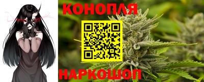 гидра Заводоуковск