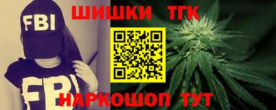 гидра Заводоуковск