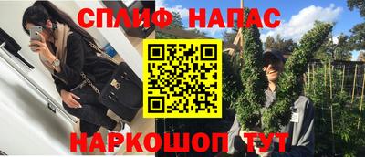 гидра Заводоуковск