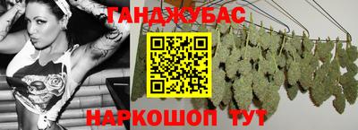 гидра Заводоуковск