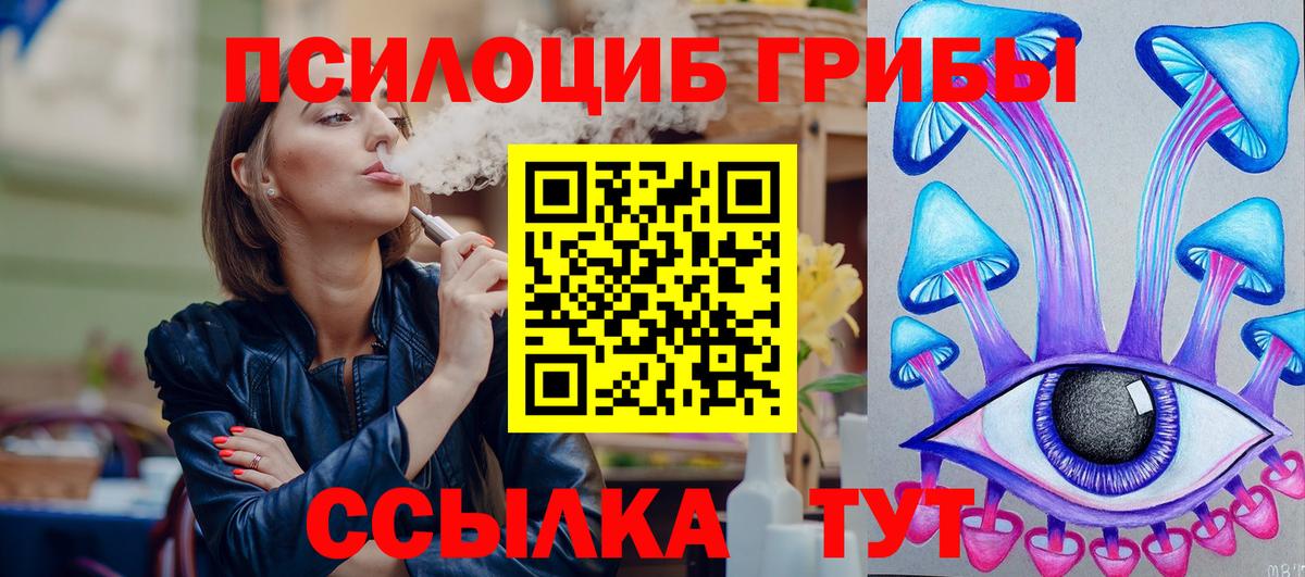 Лесосибирск  Псилоцибиновые грибы Psilocybine cubensis  Вход с VPN 
